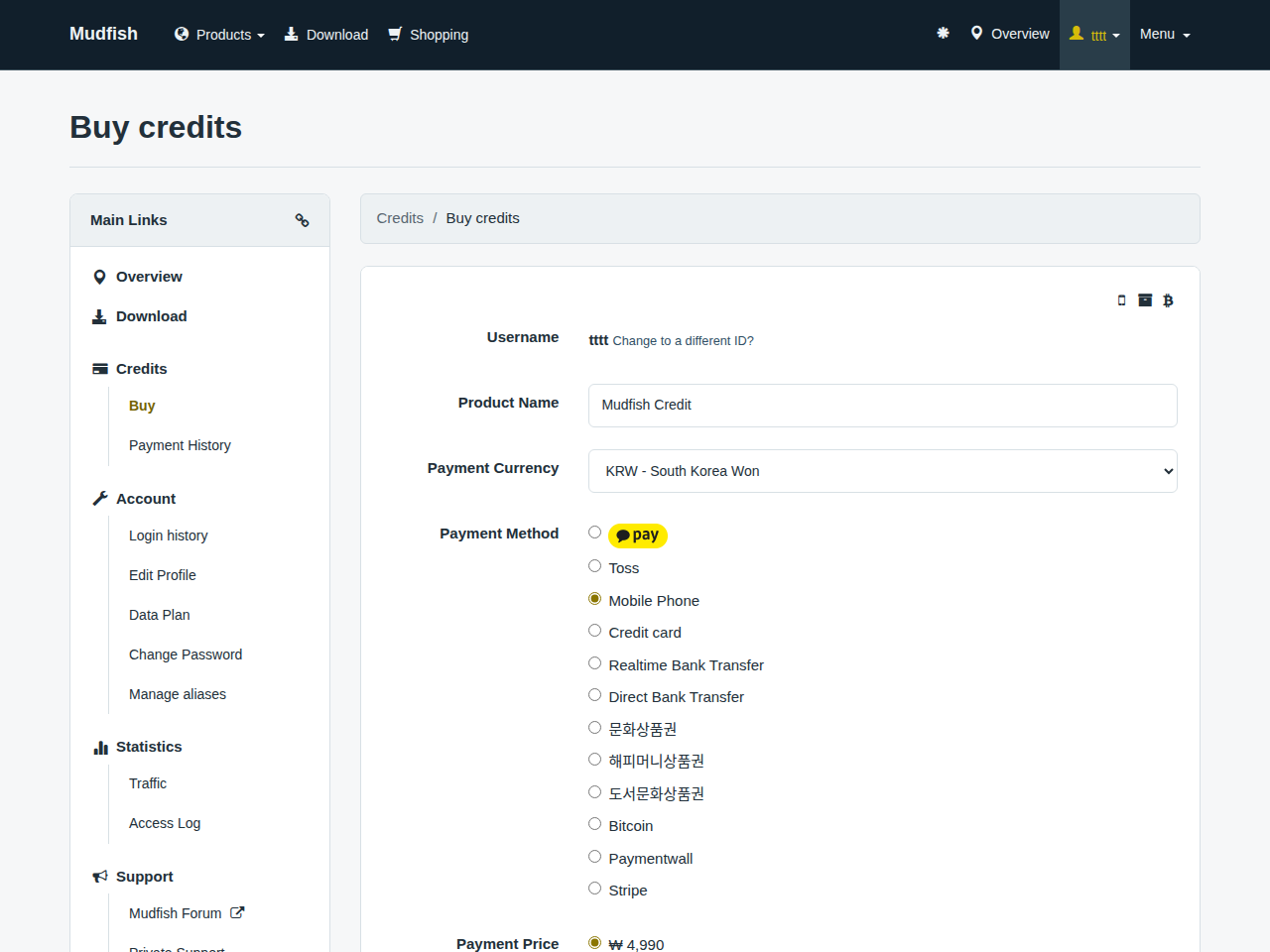 Credit purchase page with English payment options