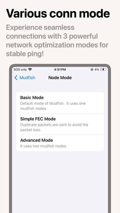 Basic, Simple FEC, and Advanced node modes on iOS