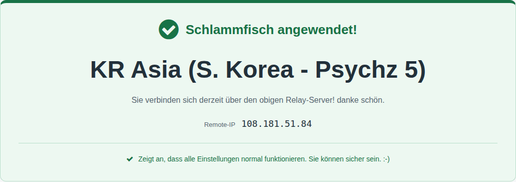 Erfolgreicher MyIP-Test