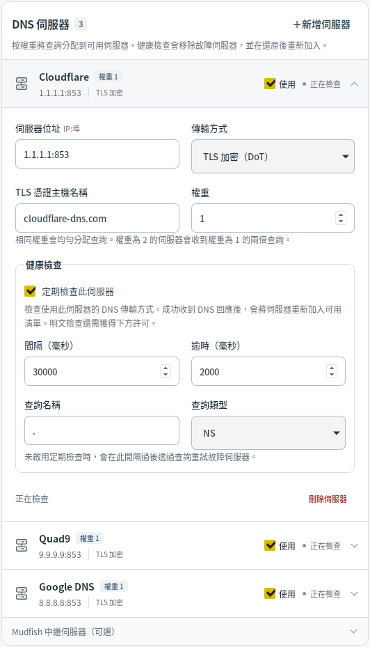 DNS 伺服器設定 — Mudfish DNS 0.1.3 (Linux)